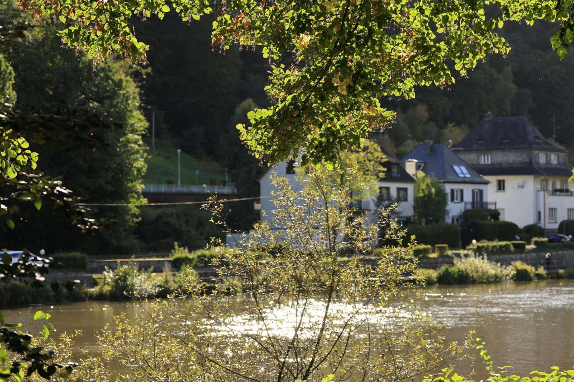 Ferienwohnung Bei Bad Ems Im Lahntal Fachbach Exterior photo